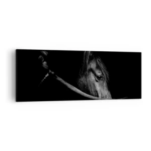 Obraz na płótnie - Czarno-biały portret konia w subtelnej grze światła i cienia na ciemnym tle - 140x50cm - Czarny książę - Nowoczesna dekoracja ścienna do salonu i sypialni ARTTOR
