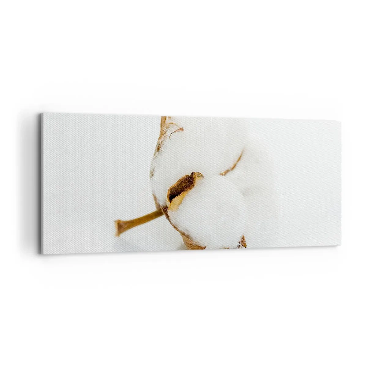 Obraz na płótnie - Gałązka bawełny na jasnym tle w minimalistycznym ujęciu - 120x50cm - Miękka z natury - Nowoczesna dekoracja ścienna do salonu i sypialni ARTTOR