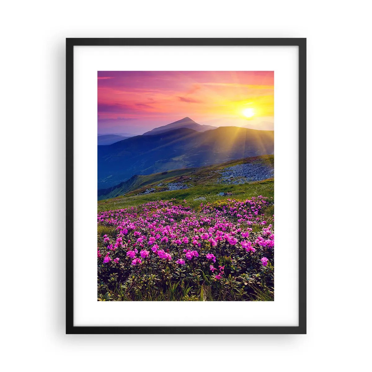 Plakat w czarnej ramie - … A dokoła pachnie kosodrzewina i wonieją zioła - 40x50 cm