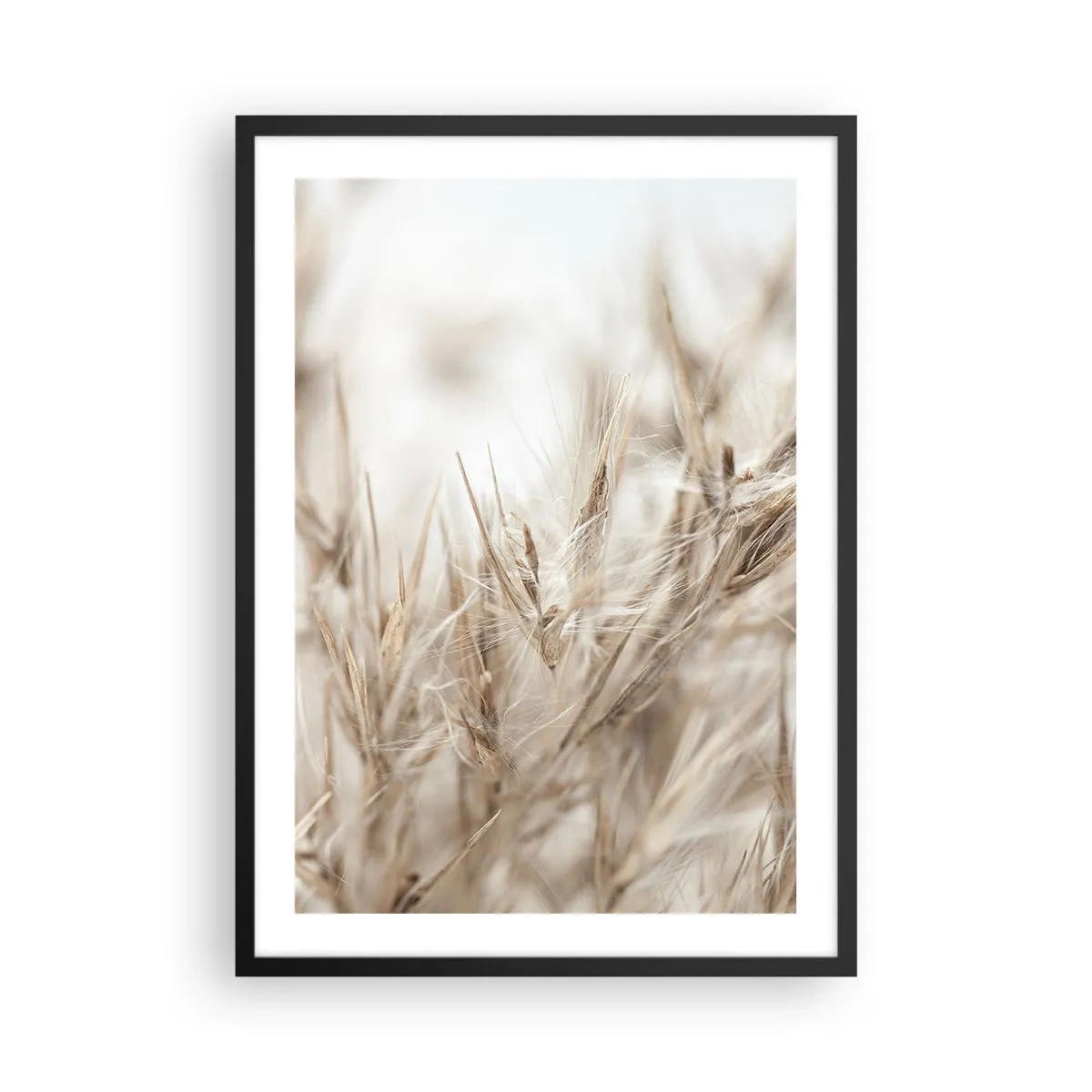 Plakat w czarnej ramie - Delikatne kłosy traw w beżach - 50x70cm - Łąka i wiatr - Nowoczesna dekoracja ścienna do salonu i sypialni ARTTOR