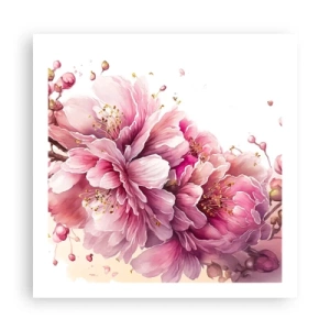 Plakat - Kwiat kwitnącej wiśni - 60x60 cm