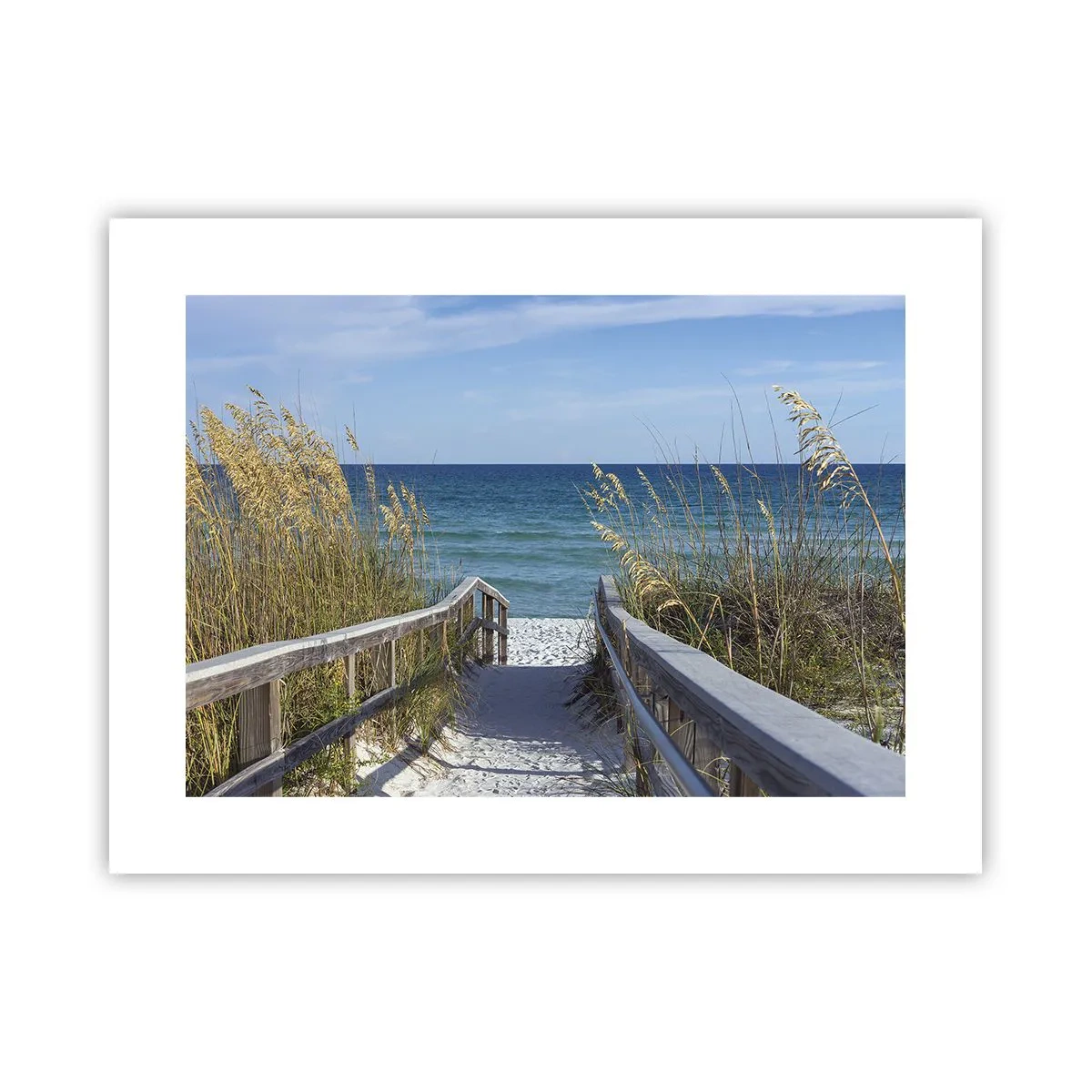 Plakat - W słońcu, na wietrze - 40x30 cm