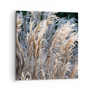 Obraz na płótnie - Szronem ustrojone - 70x70 cm