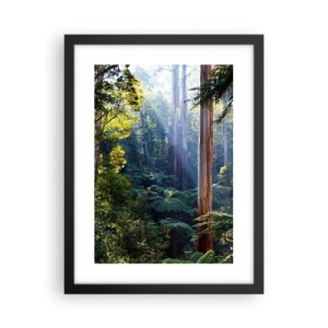 Plakat w czarnej ramie - Baśń lasu - 30x40 cm