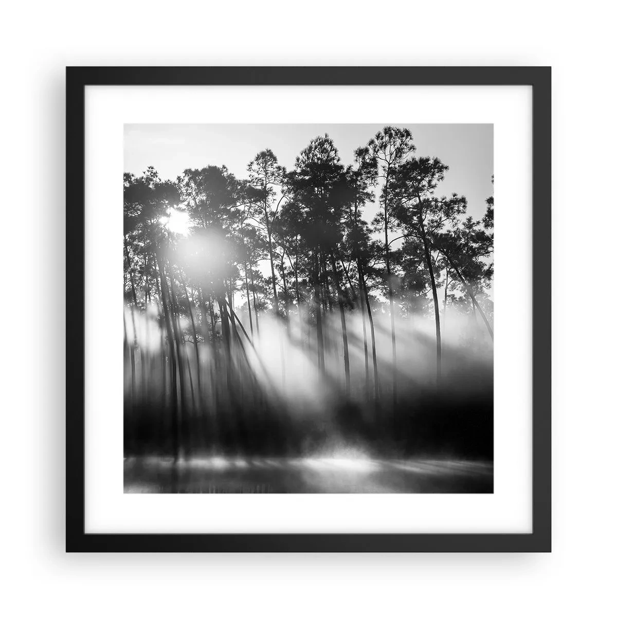 Plakat w czarnej ramie - Niepowstrzymane słońce - 40x40 cm