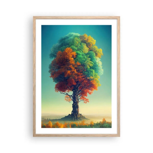 Plakat w ramie jasny dąb - Dąb – ojciec natury - 50x70 cm
