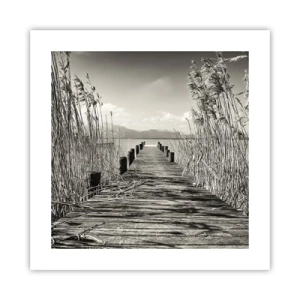 Plakat - W zaciszu traw - 40x40 cm