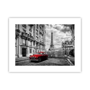 Plakat - Drapieżnik w mieście - 40x30 cm