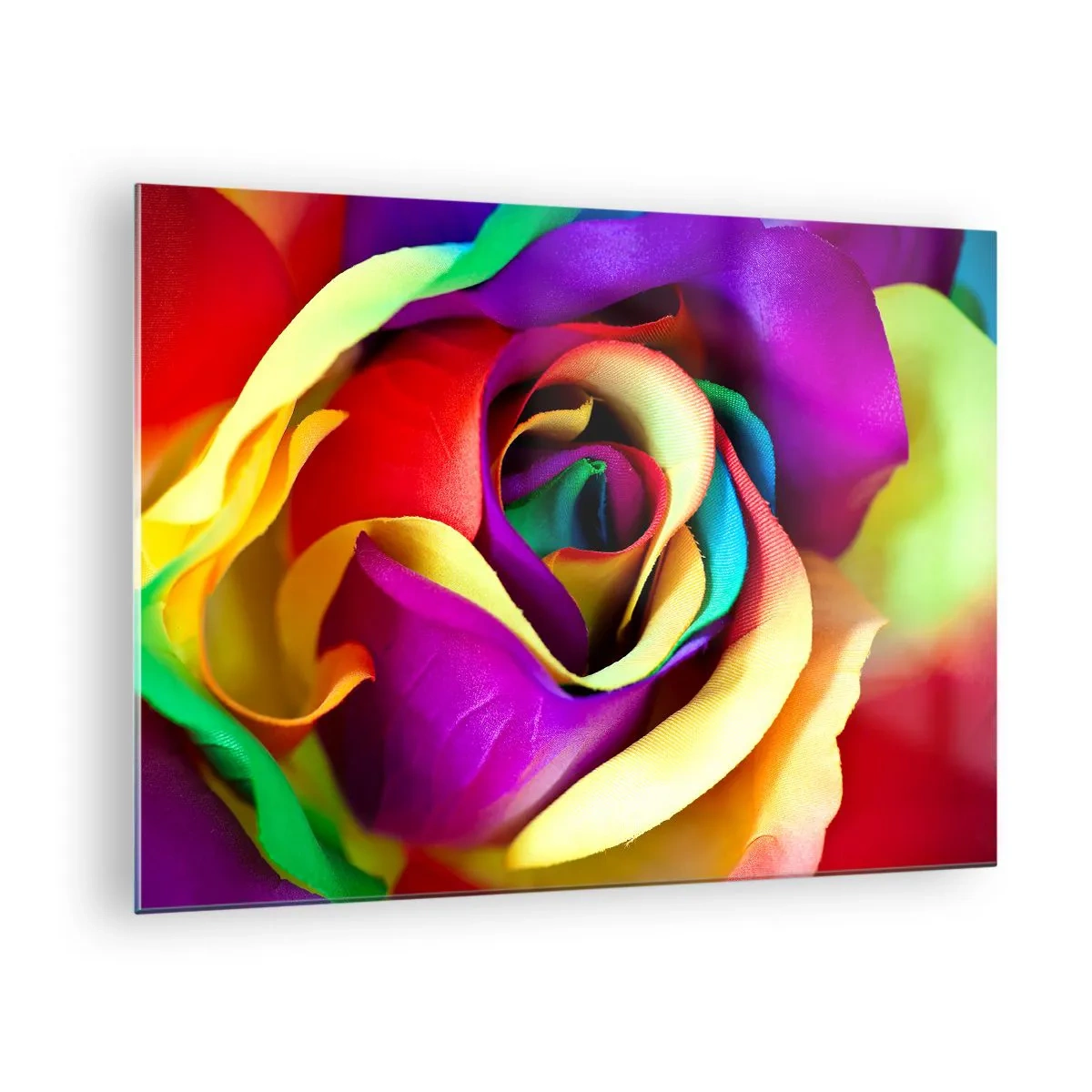 Obraz na szkle - Kolorowa róża w tęczowych barwach - 70x50cm - To niemożliwe - Nowoczesna dekoracja ścienna do salonu i sypialni ARTTOR