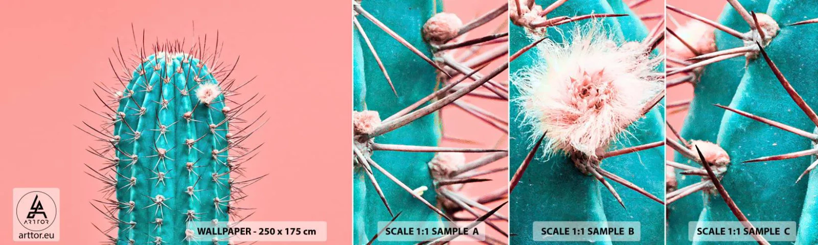 Fototapeta Próbka Samoprzylepna Deluxe Sticker - Tylko patrz - Kaktus, Pastelowy, Minimalizm - 100x30 cm