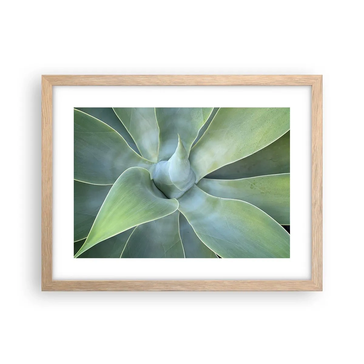 Plakat w ramie jasny dąb - Narodziny zieleni - 40x30 cm