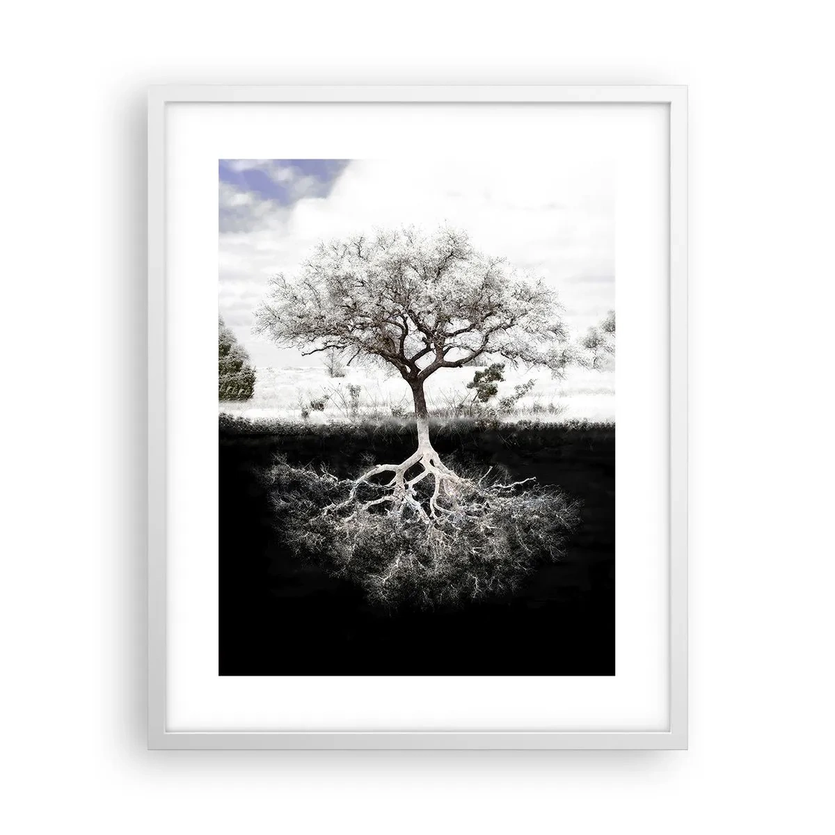 Plakat w białej ramie - Odkrycie natury świata - 40x50 cm