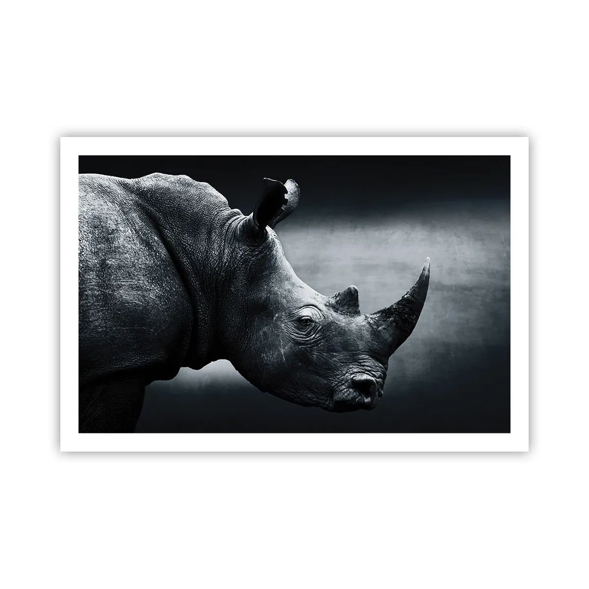 Plakat - Prawy profil - 91x61 cm