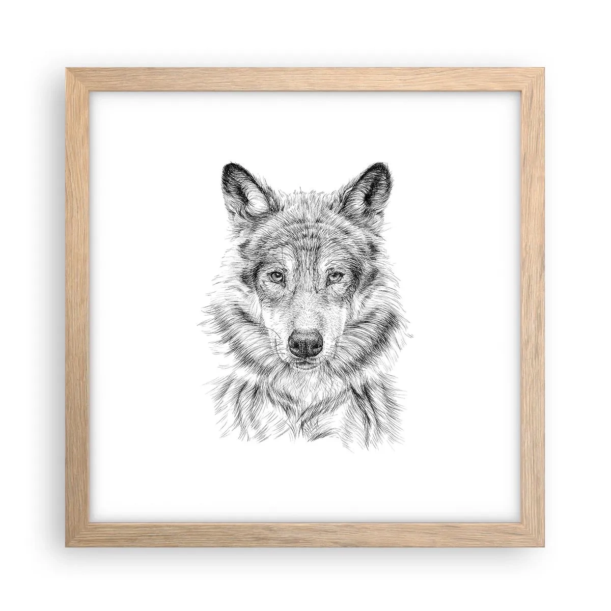 Plakat w ramie jasny dąb - Urodzony przywódca - 30x30 cm