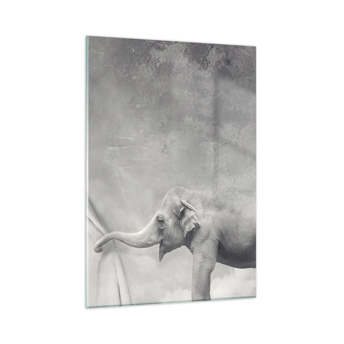 Obraz na szkle - Słoń w surrealistycznej scenerii z zasłoną - 50x70cm - Odsłonić tajemnicę - Nowoczesna dekoracja ścienna do salonu, kuchni i sypialni ARTTOR