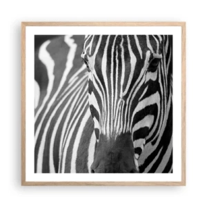 Plakat w ramie jasny dąb - Świat jest czarno-biały - 60x60 cm