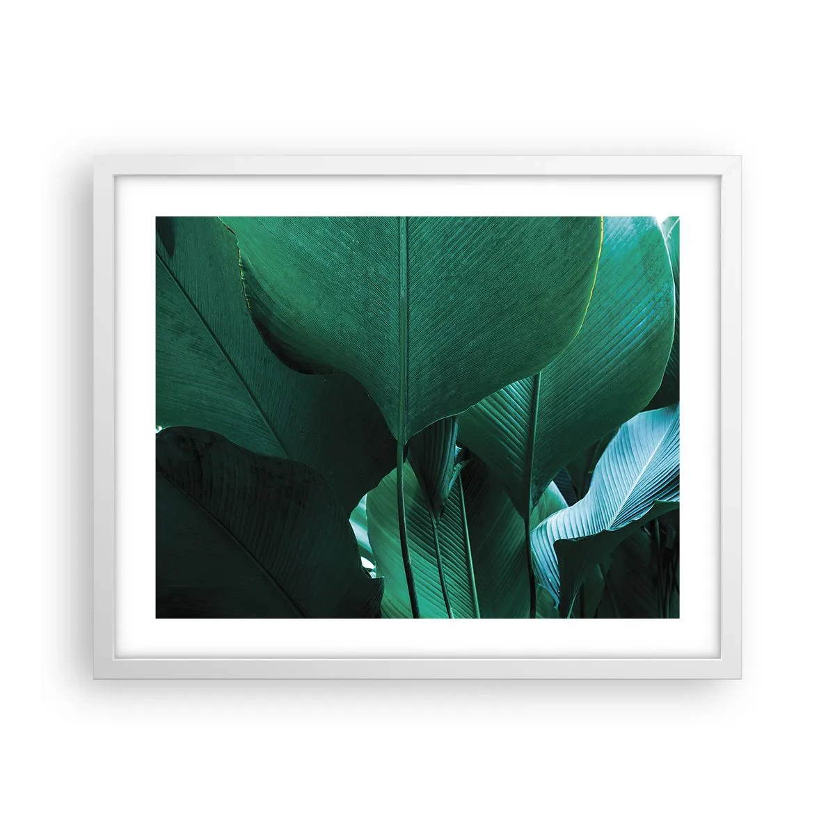 Plakat w białej ramie - Zwrócone do światła - 50x40 cm