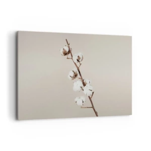 Obraz na płótnie - Gałązka bawełny na beżowym tle - 120x80cm - U źródła miękkości - Nowoczesna dekoracja ścienna do salonu, kuchni i sypialni ARTTOR
