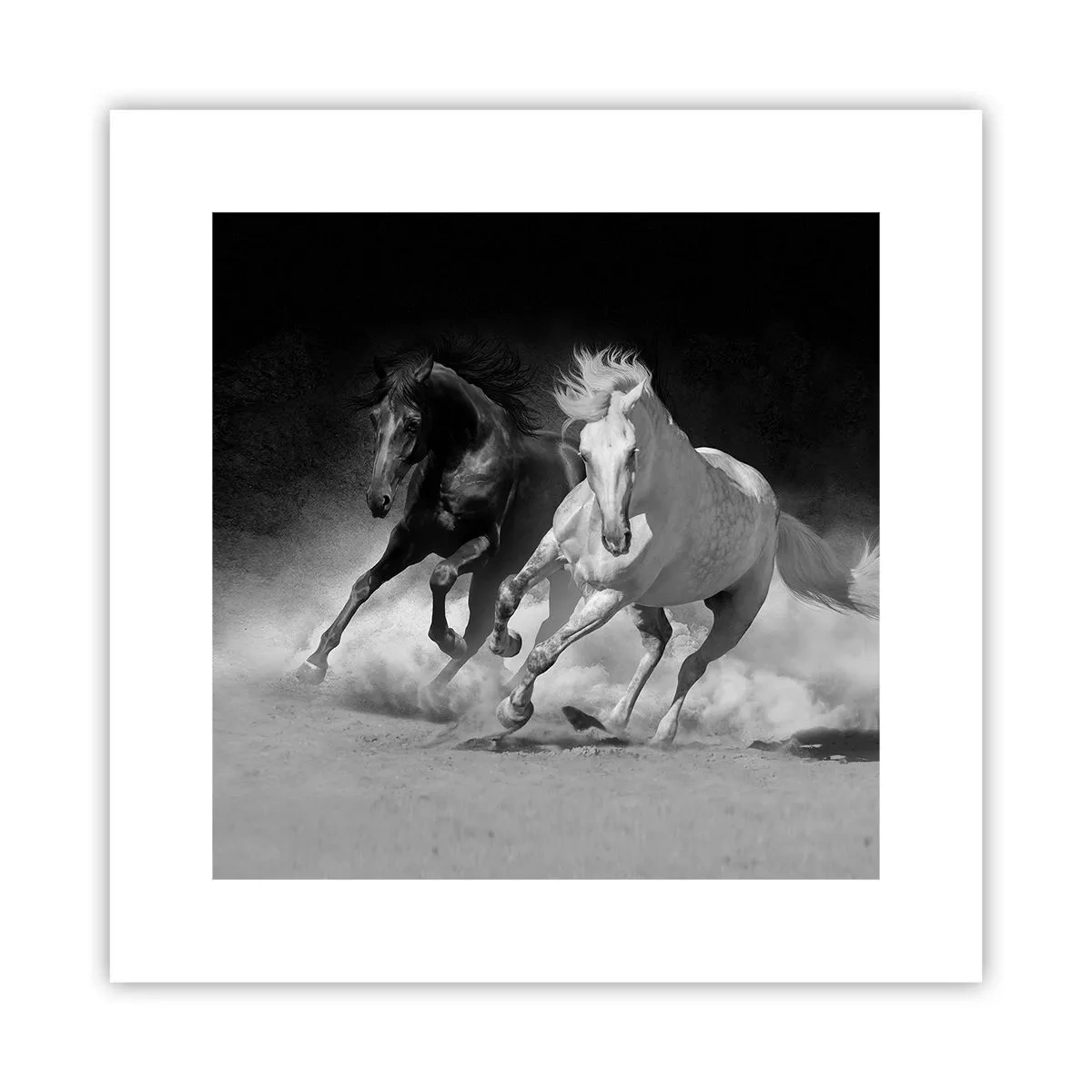 Plakat - Galop wolności - 30x30 cm