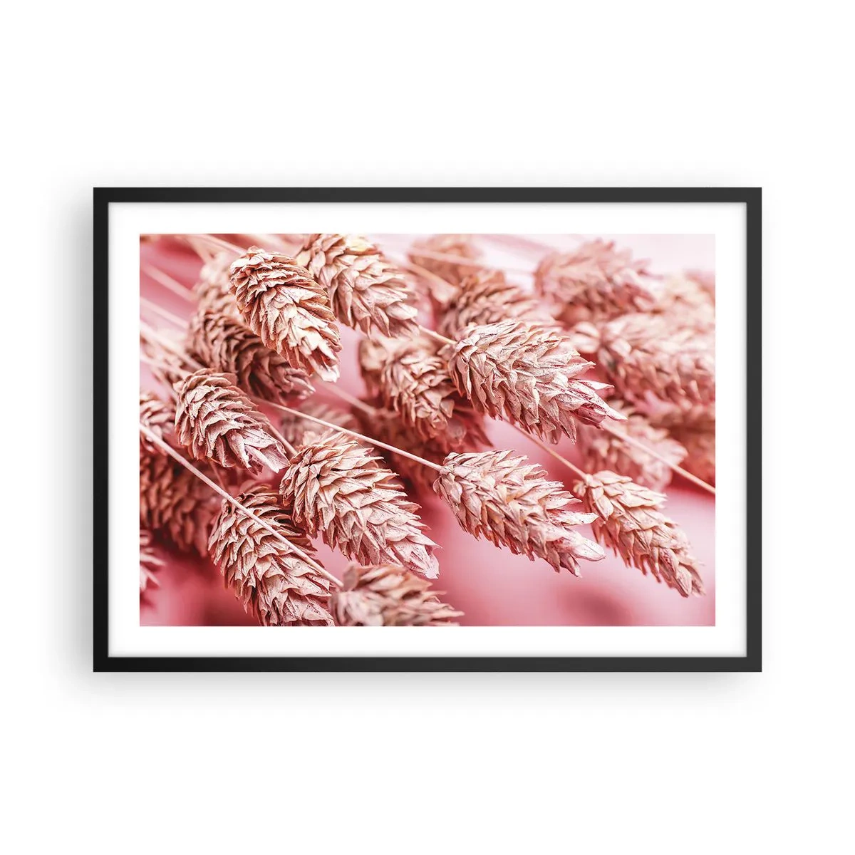 Plakat w czarnej ramie - Zbliżenie na kłosy w różowym odcieniu - 70x50cm - Kwietna kaskada w różu - Nowoczesna dekoracja ścienna do salonu i sypialni ARTTOR