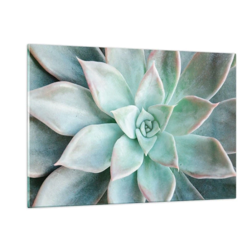 Obraz na szkle - Suche liście sukulenta o delikatnym, szaro-zielonym odcieniu - 120x80cm - Serce pustyni - Nowoczesna dekoracja ścienna do salonu, kuchni i sypialni ARTTOR