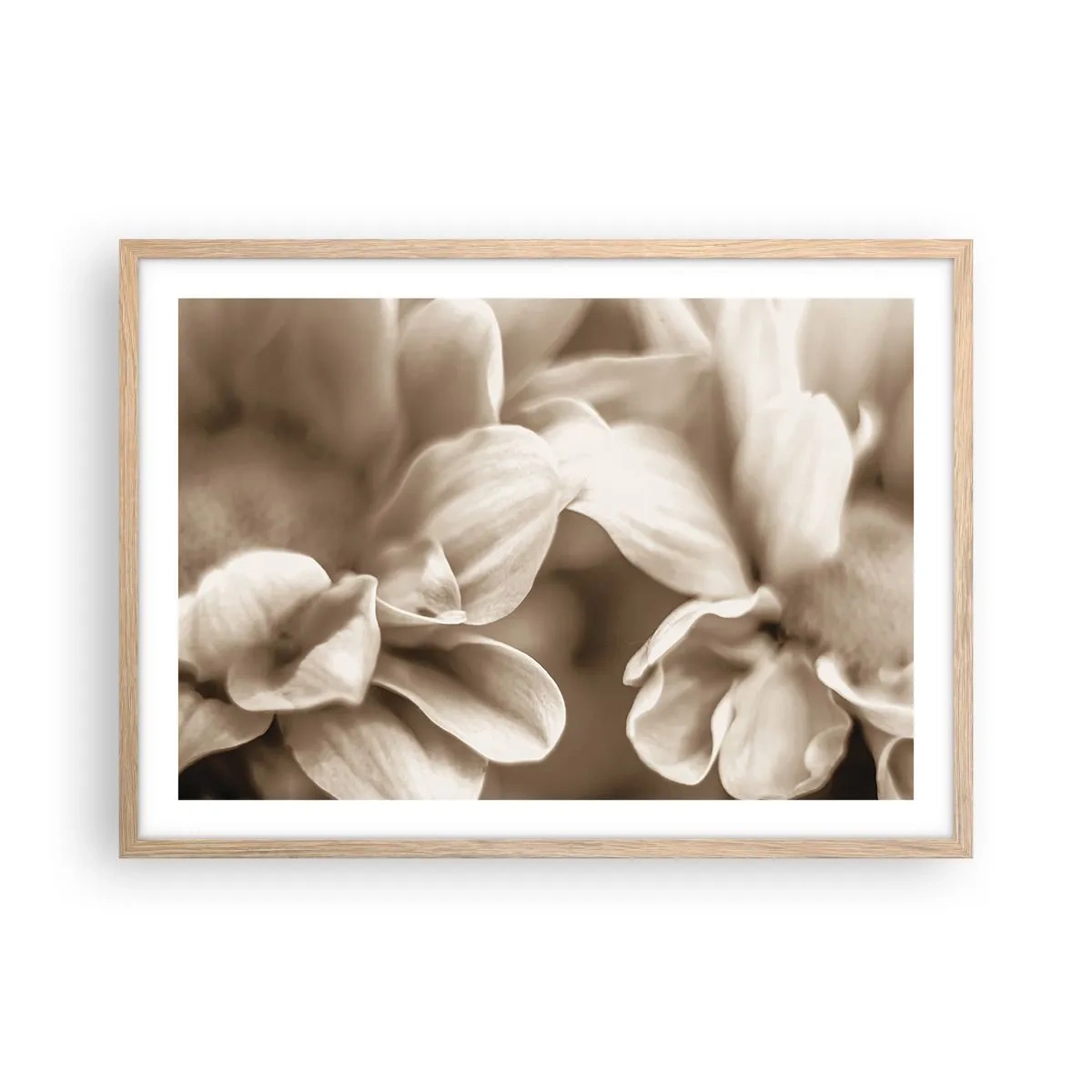 Plakat w ramie jasny dąb - Łagodne jak uśmiech - 70x50 cm