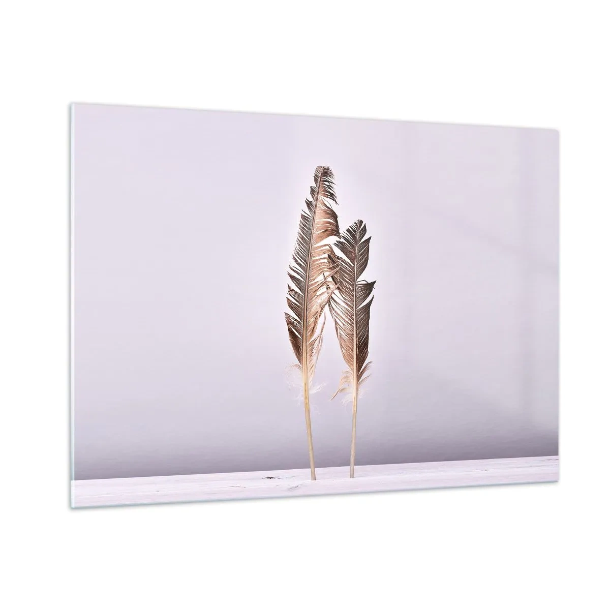 Obraz na szkle - Dwie delikatne pióra na jasnym tle - 100x70cm - Przeciw nicości - Nowoczesna dekoracja ścienna do salonu, kuchni i sypialni ARTTOR