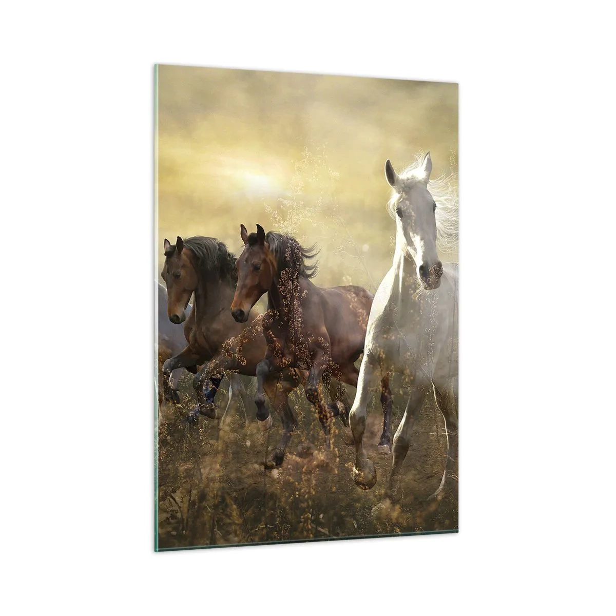 Obraz na szkle - Stado koni galopujące w promieniach zachodzącego słońca - 50x70cm - Niech żyje wolność! - Nowoczesna dekoracja ścienna do salonu, kuchni i sypialni ARTTOR