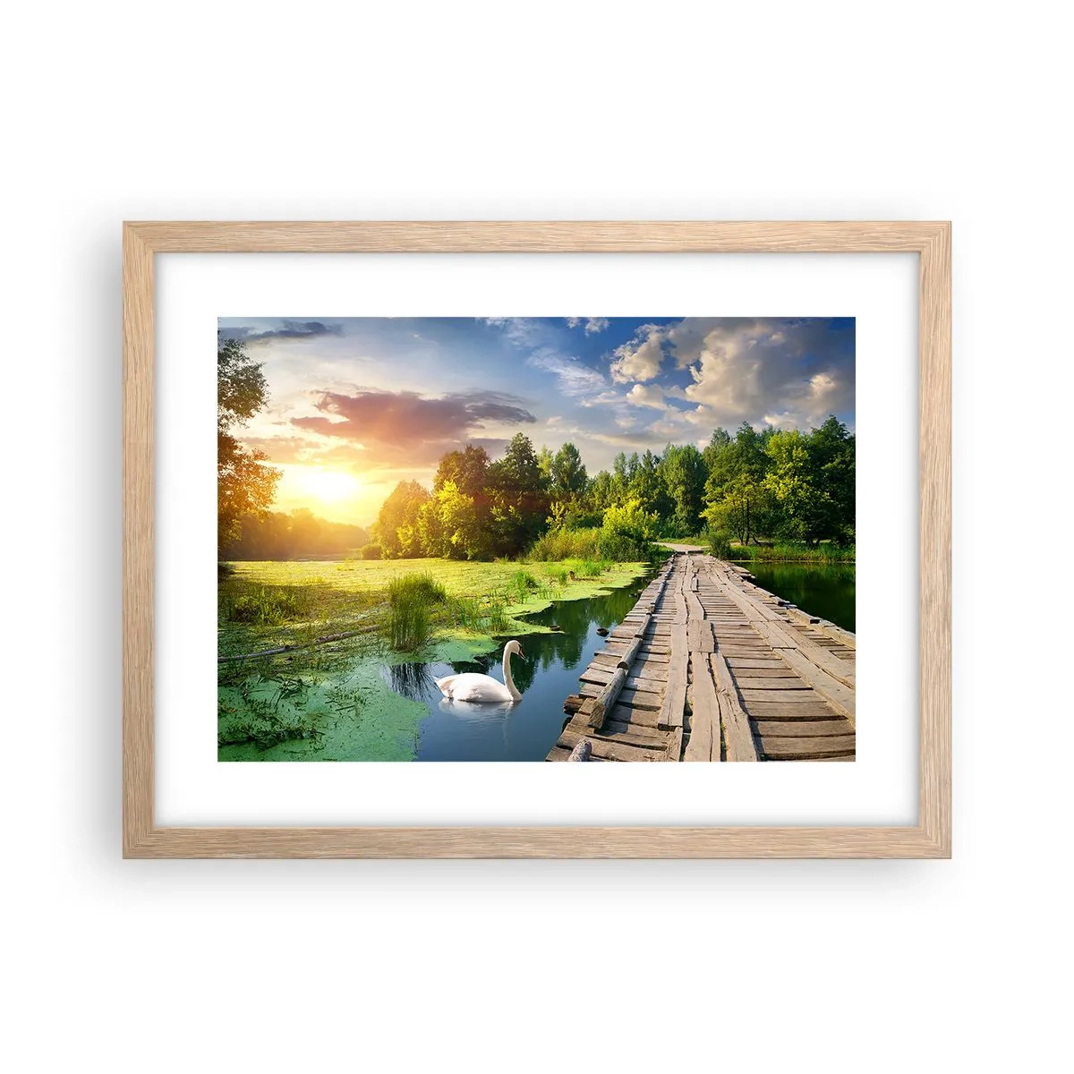 Plakat w ramie jasny dąb - Lato, lato wszędzie - 40x30 cm