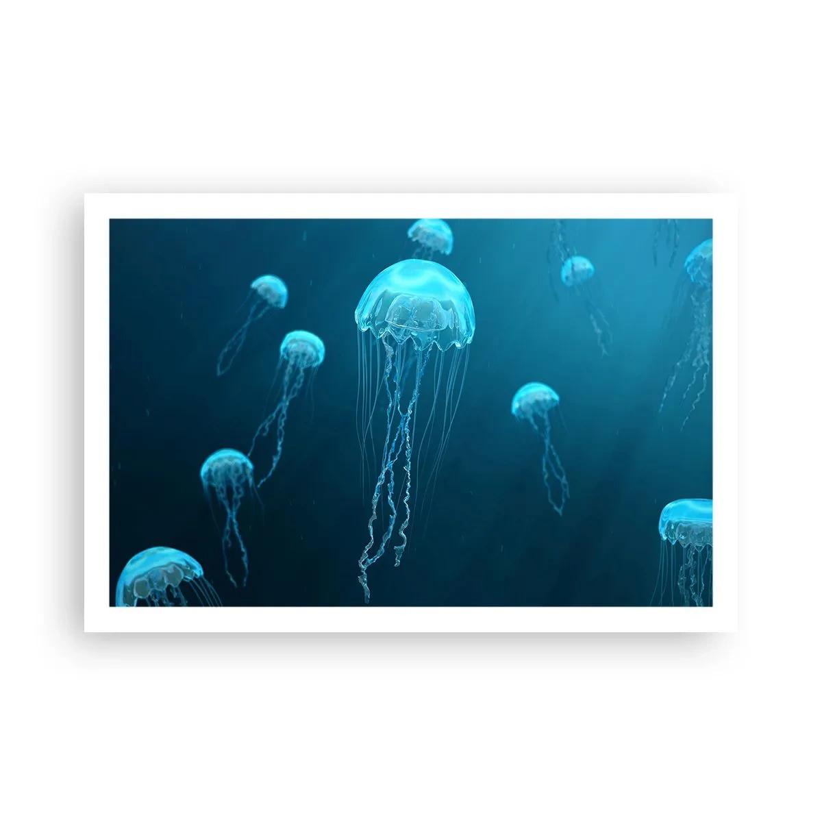 Plakat - Oceaniczny taniec - 91x61 cm