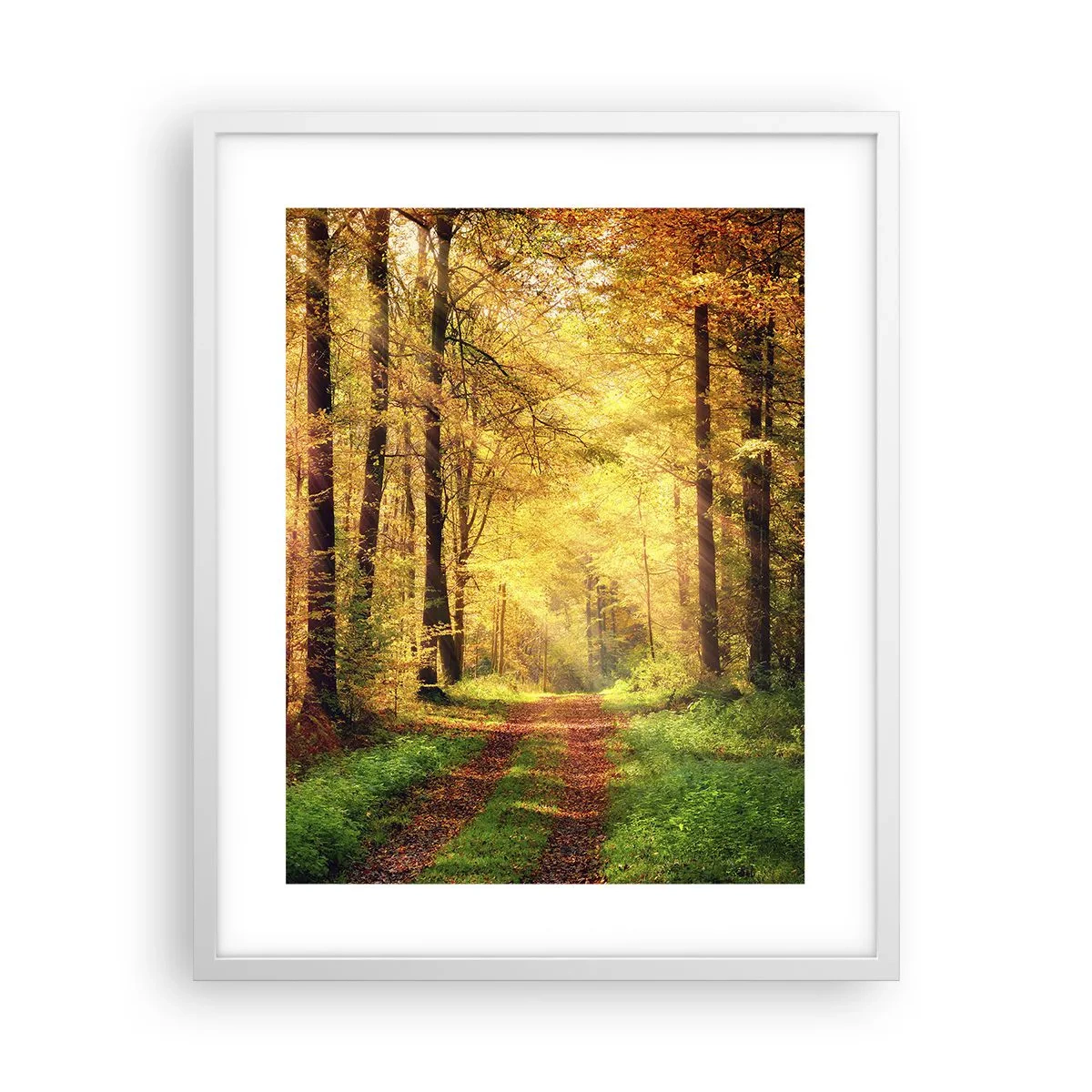 Plakat w białej ramie - Leśno-złota cisza - 40x50 cm