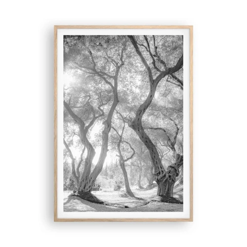 Plakat w ramie jasny dąb - W oliwnym gaju - 70x100 cm