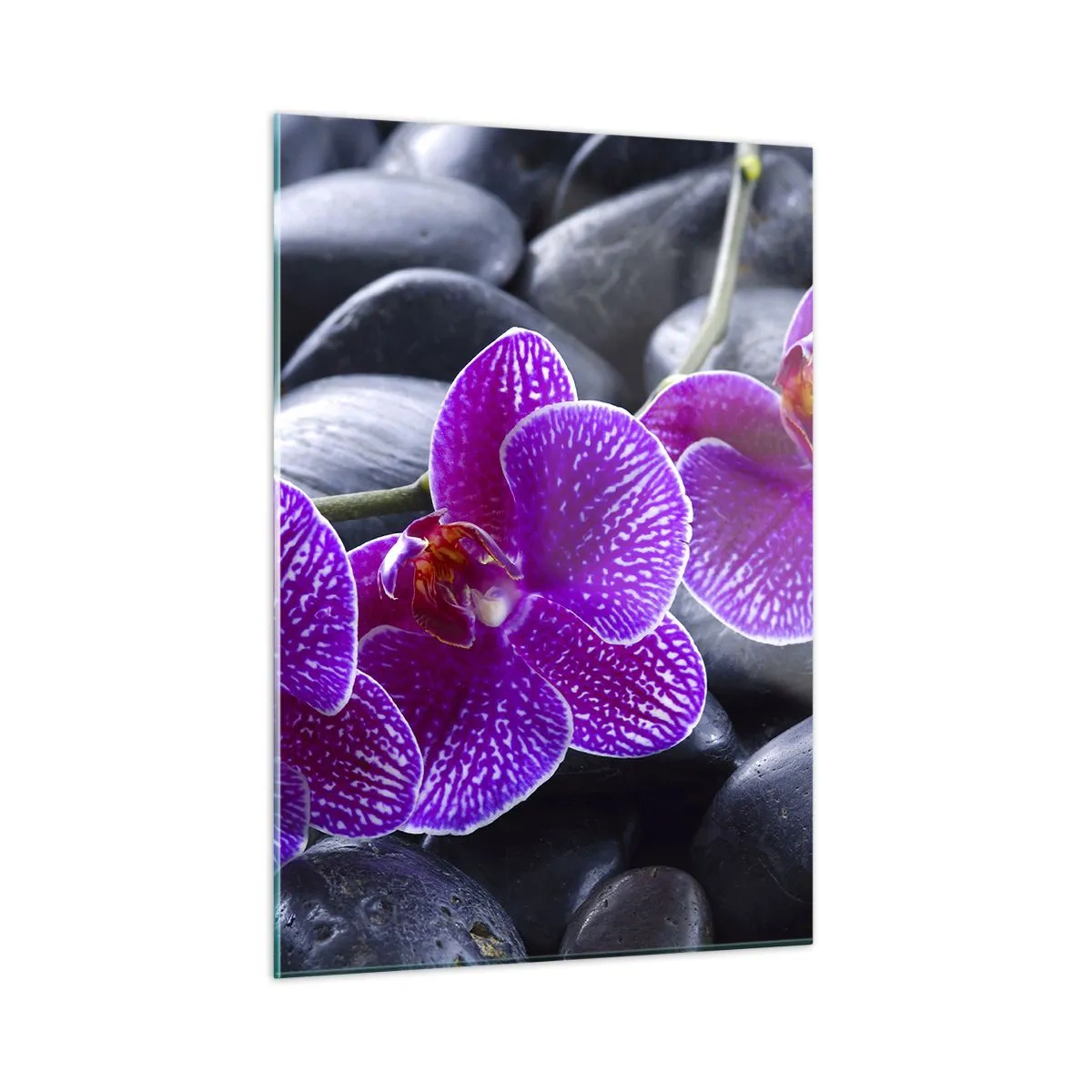 Obraz na szkle - Fioletowe orchidee na tle gładkich kamieni - 50x70cm - Kamienie pojaśniały z zachwytu - Nowoczesna dekoracja ścienna do salonu, kuchni i sypialni ARTTOR