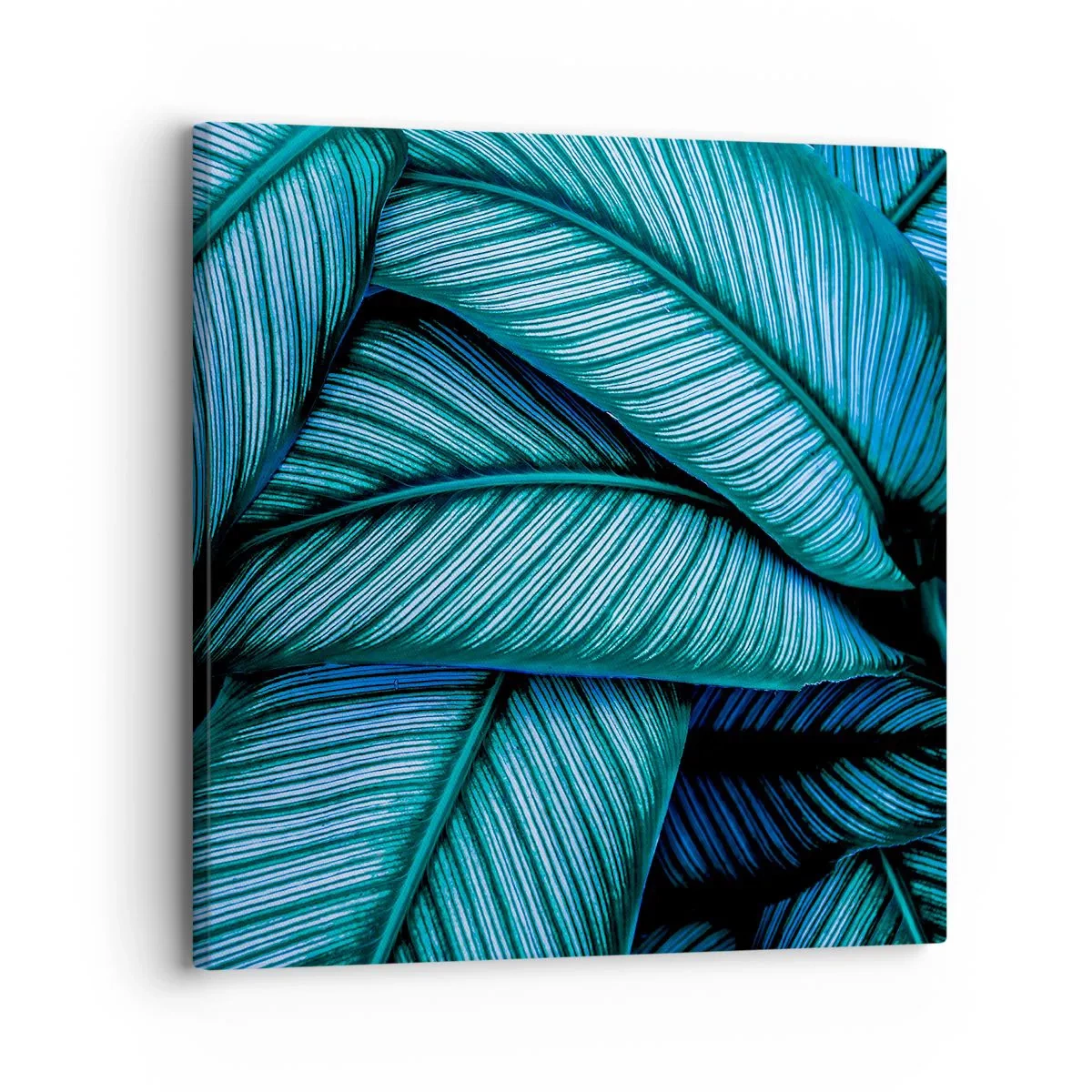 Obraz na płótnie - Linie życia - 30x30 cm