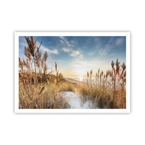 Plakat - Malownicza plaża z trawami i zachodzącym słońcem - 100x70cm - Północna plaża - Nowoczesna dekoracja ścienna do salonu i sypialni ARTTOR