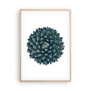 Plakat w ramie jasny dąb - Gwiazda pustyni - 70x100 cm