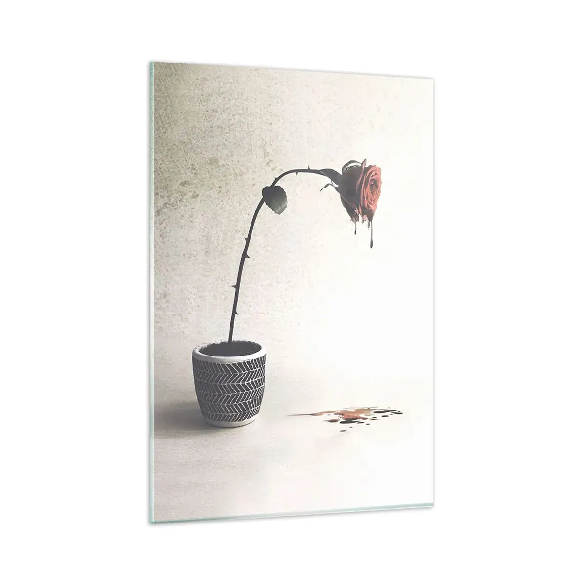 Obraz na szkle - Czerwona róża w doniczce z kroplami barwnika na białym tle - 80x120cm - Rosa dolorosa - Nowoczesna dekoracja ścienna do salonu i sypialni ARTTOR