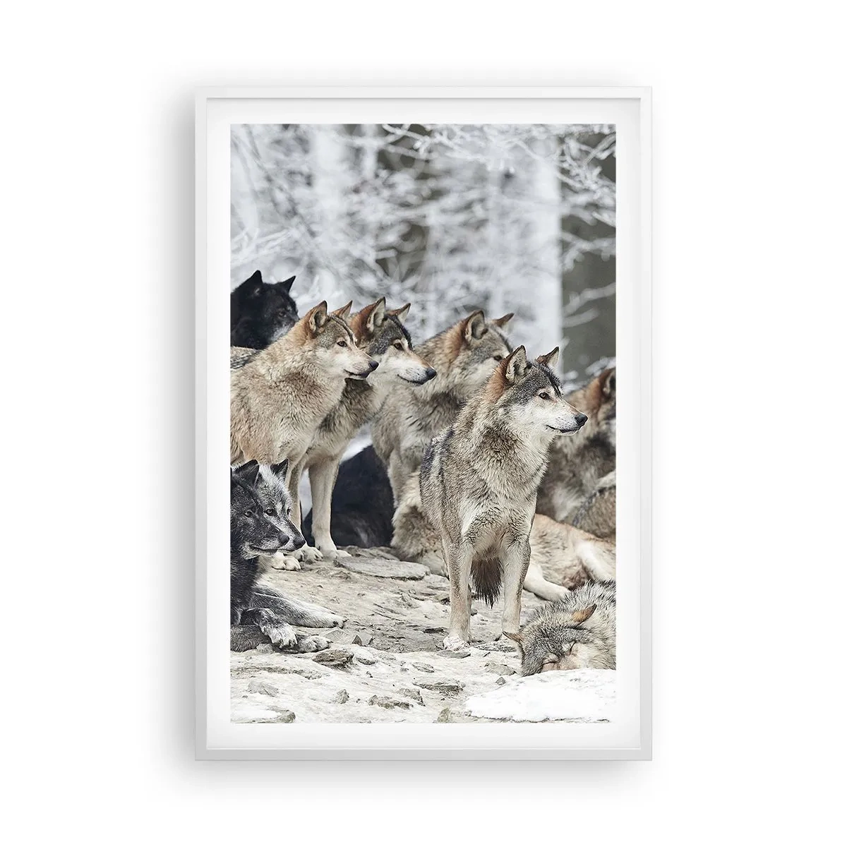 Plakat w białej ramie - Rodzina i przyjaciele - 61x91 cm