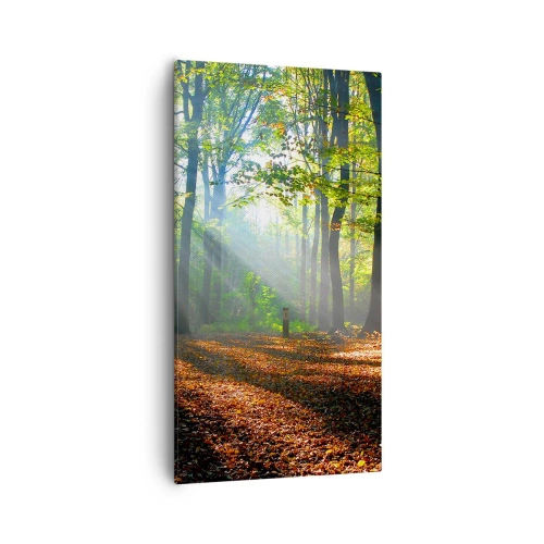 Obraz na płótnie - Blaski i cienie - 55x100 cm