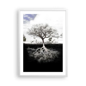 Plakat w białej ramie - Odkrycie natury świata - 50x70 cm