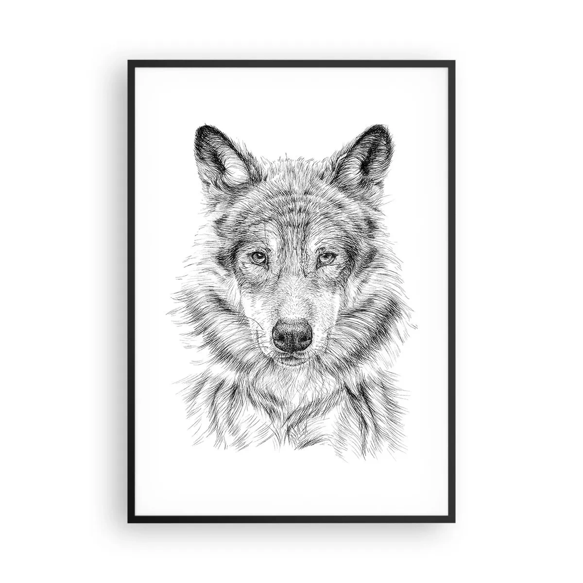 Plakat w czarnej ramie - Urodzony przywódca - 70x100 cm