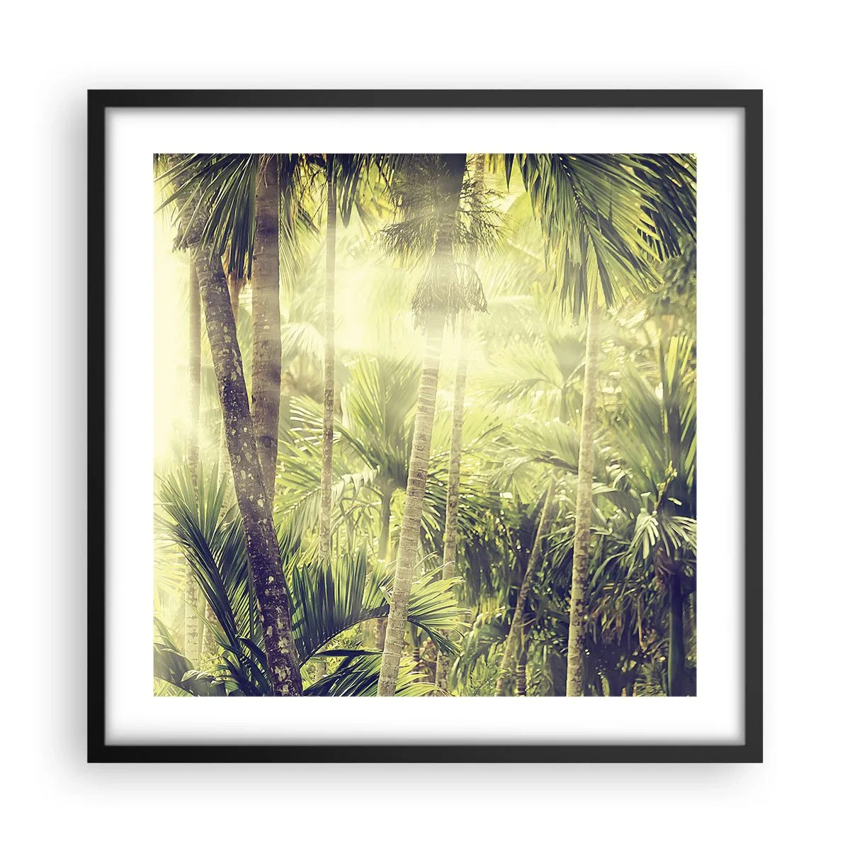 Plakat w czarnej ramie - W zielonym żarze - 50x50 cm