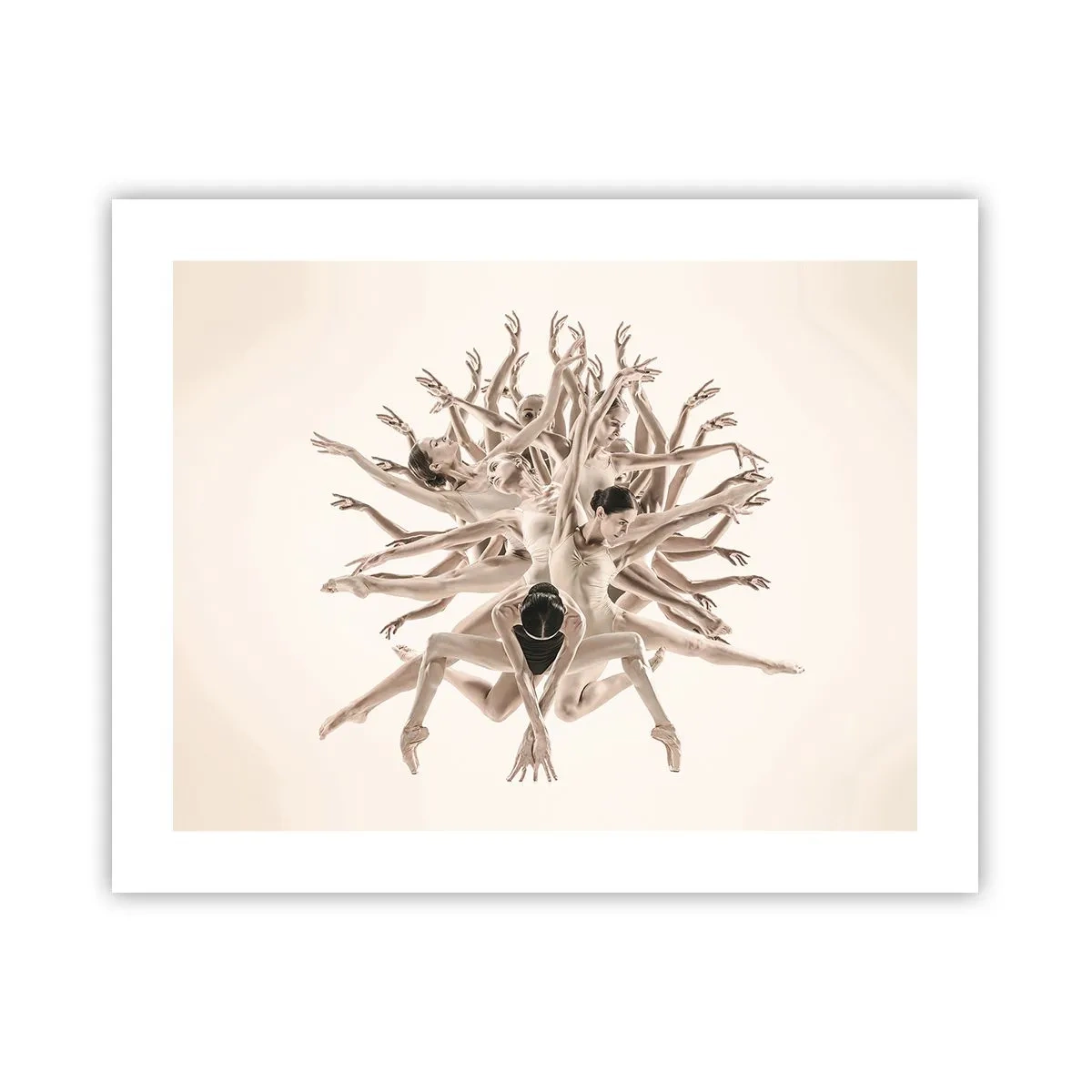 Plakat - Rozkwitanie w tańcu - 50x40 cm