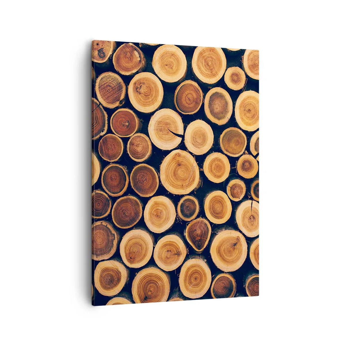 Obraz na płótnie - Ułożone pnie drzew ukazujące przekroje słojów w ciepłych barwach drewna - 50x70cm - Na ile lat wyglądam? - Nowoczesna dekoracja ścienna do salonu, kuchni i sypialni ARTTOR