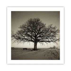 Plakat - Stąd do wieczności - 50x50 cm