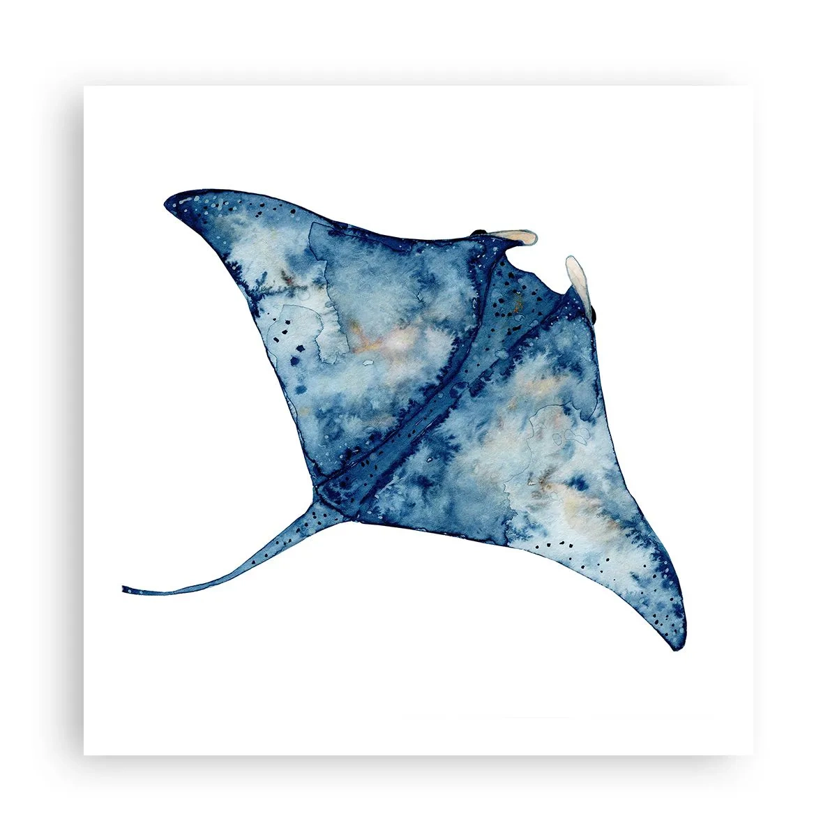 Plakat - Życie w błękicie - 60x60 cm