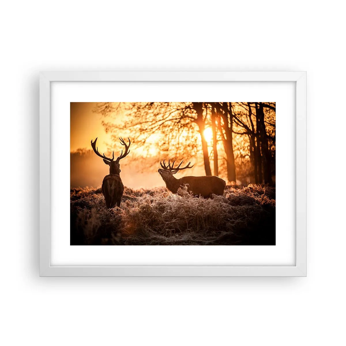 Plakat w białej ramie - Marzenie myśliwego - 40x30 cm