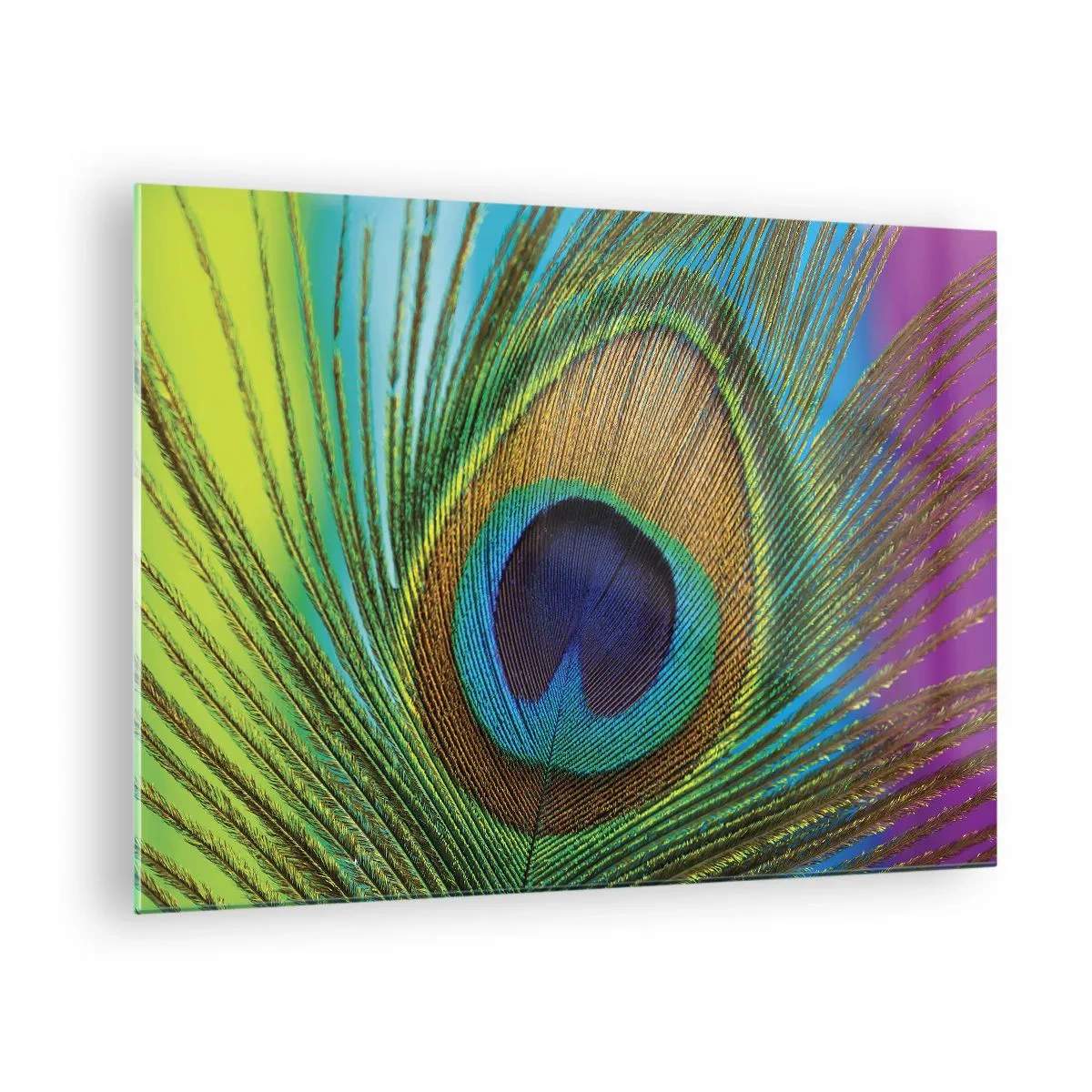 Obraz na szkle - Barwne pióro pawia w zbliżeniu - 70x50cm - Oko w oko - Nowoczesna dekoracja ścienna do salonu i sypialni ARTTOR
