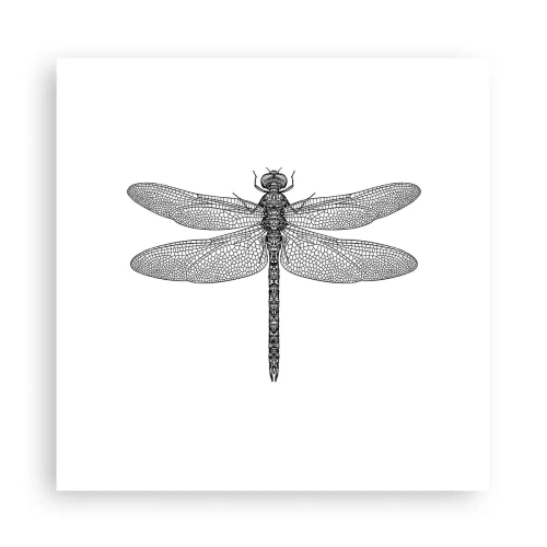 Plakat - Precyzja natury - 30x30 cm