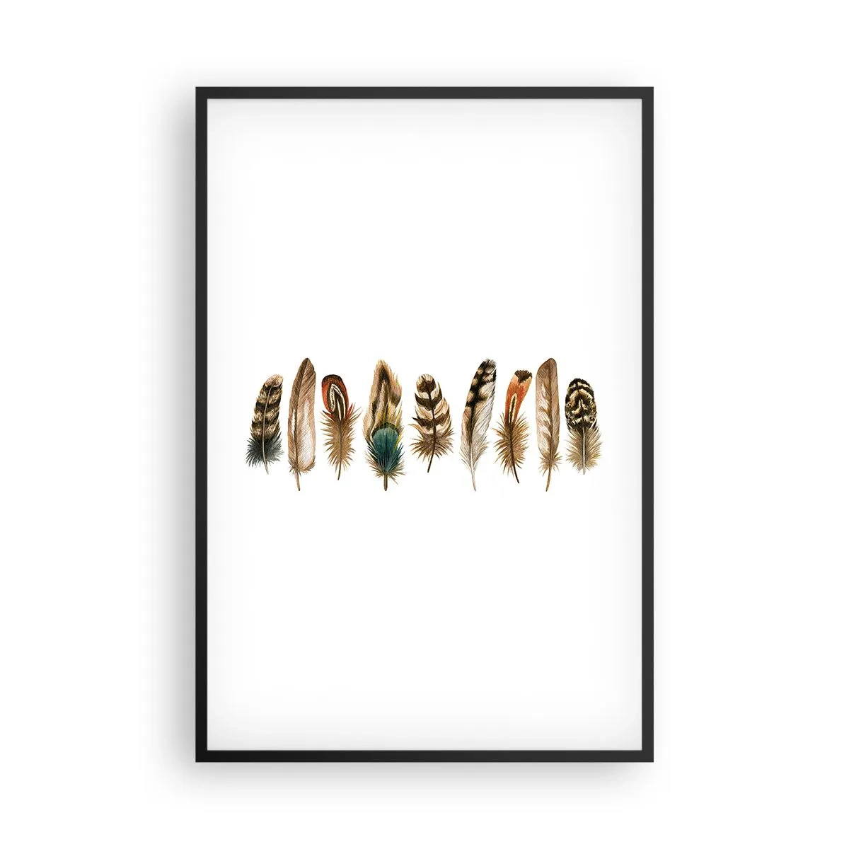 Plakat w czarnej ramie - Pierzasta wariacja - 61x91 cm
